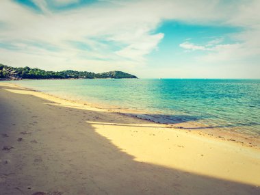 Güzel tropikal plaj ve deniz ile Hindistan cevizi hurma ağacının seyahat ve tatil