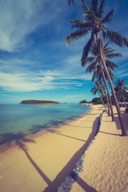 Güzel tropikal plaj deniz ve kum mavi gökyüzü ve beyaz bulut seyahat ve tatil için Hindistan cevizi hurma ağacı ile