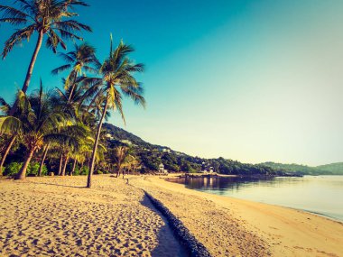 Güzel tropikal plaj ve deniz ile Hindistan cevizi hurma ağacının seyahat ve tatil