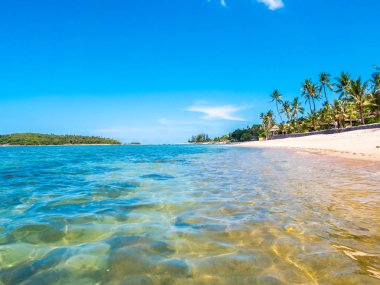 Güzel tropikal plaj ve deniz ile Hindistan cevizi hurma ağacının seyahat ve tatil