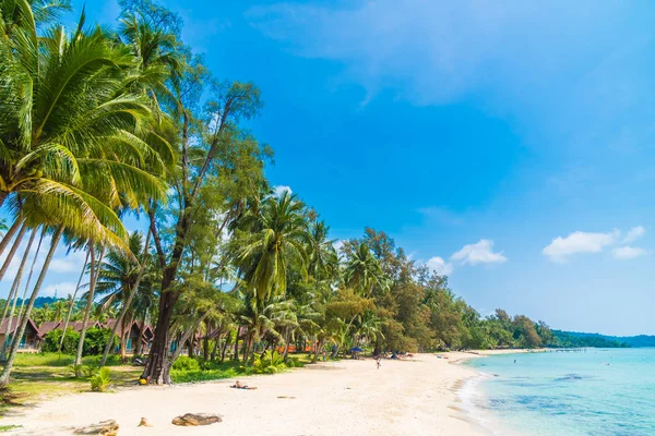 Vackra Tropiska Stranden Och Havet Med Coconut Palm Tree Paradise — Stockfoto