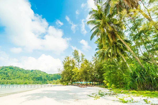 Beautiful Tropical Beach Sea Coconut Palm Tree Paradise Island Travel — Stock Photo, Image