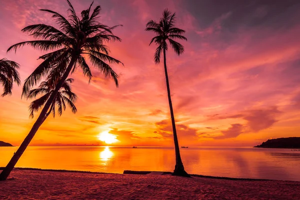 Sunset Time Tropical Paradise Island Beach Sea Coconut Palm Tree — Stock Photo, Image