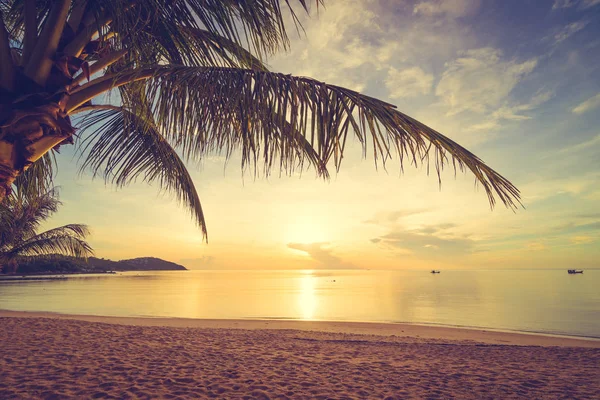 Atardecer Playa Tropical Isla Paradisíaca Mar Con Palmera Coco Para — Foto de Stock