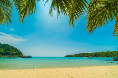 Güzel tropikal plaj ve deniz paradise Island Seyahat ve tatil için Hindistan cevizi hurma ağacı