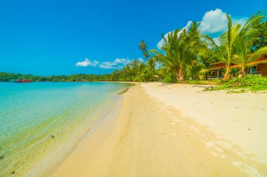 Güzel tropikal plaj ve deniz paradise Island Seyahat ve tatil için Hindistan cevizi hurma ağacı