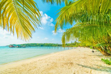 Güzel tropikal plaj ve deniz paradise Island Seyahat ve tatil için Hindistan cevizi hurma ağacı