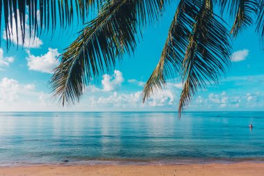 Güzel açık tropikal plaj ve deniz paradise Island tatil seyahat ve tatil için Hindistan cevizi hurma ağacı ile