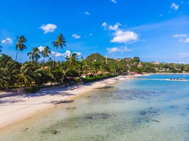Seyahat ve tatil için adada güzel tropikal plaj ve deniz ağaçları ile havadan görünümü
