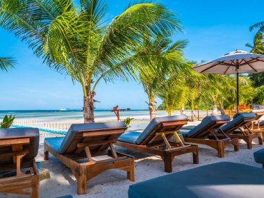 Şemsiye ve sandalyenin üstüne Hindistan cevizi hurma ağacının seyahat ve tatil etrafında mavi gökyüzü ile plaj ve okyanus