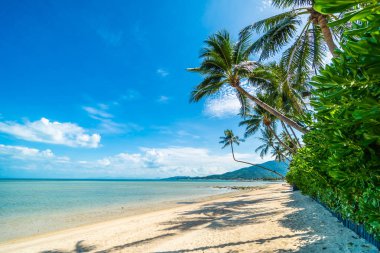 Güzel tropikal plaj deniz ve kum mavi gökyüzü ve beyaz bulut seyahat ve tatil için Hindistan cevizi hurma ağacı ile