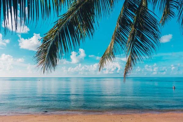 Hermosa Playa Tropical Aire Libre Mar Isla Paradisíaca Con Palmera — Foto de Stock