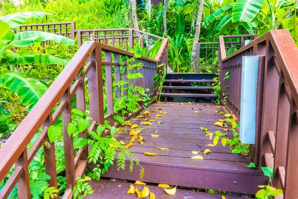 Outdoor wooden stair in the forest with tree for travel and vacation
