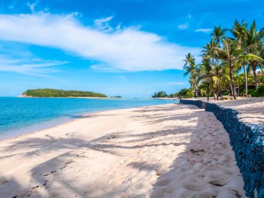 Güzel tropikal plaj ve deniz ile Hindistan cevizi hurma ağacının seyahat ve tatil