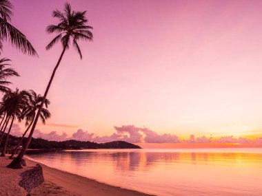 Güzel tropikal plaj deniz ve okyanus ile Hindistan cevizi hurma ağacı gündoğumu zaman seyahat ve tatil için