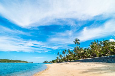 Güzel tropikal plaj deniz ve kum mavi gökyüzü ve beyaz bulut seyahat ve tatil için Hindistan cevizi hurma ağacı ile