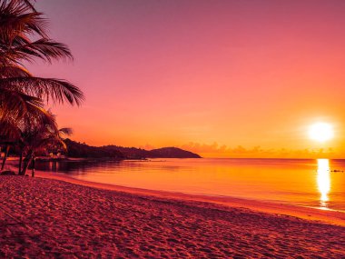 Güzel tropikal plaj deniz ve okyanus ile Hindistan cevizi hurma ağacı gündoğumu zaman seyahat ve tatil için