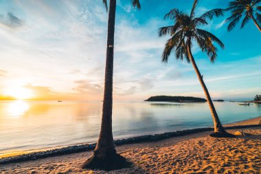 Günbatımı zaman tropik cennet ada plaj ve deniz ile Hindistan cevizi palmiye ağacı üzerinde tatil ve tatil için
