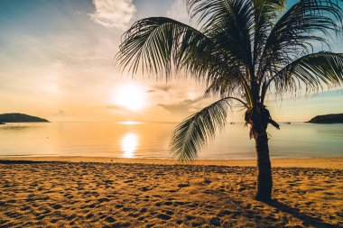 Günbatımı zaman tropik cennet ada plaj ve deniz ile Hindistan cevizi palmiye ağacı üzerinde tatil ve tatil için