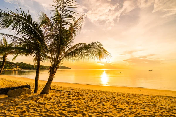 Sunset Time Tropical Paradise Island Beach Sea Coconut Palm Tree — Stock Photo, Image