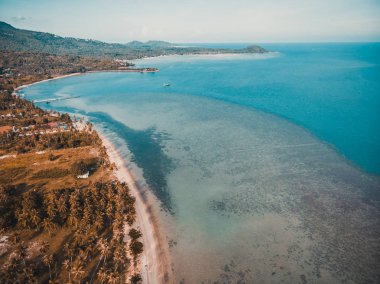 Güzel tropikal plaj ve deniz hurma ve koh samui Adası seyahat ve tatil için diğer ağacında havadan görünümü