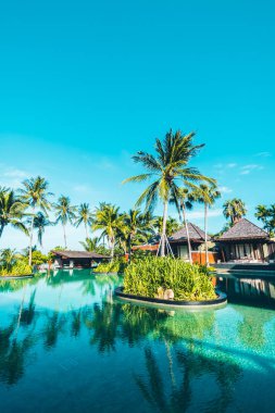 Hindistan cevizi hurma ağacının etrafında seyahat ve tatil için deniz ve okyanus görünümü ile güzel açık yüzme havuzu