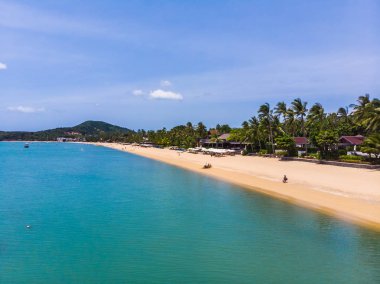 Seyahat ve tatil için adada güzel tropikal plaj ve deniz ağaçları ile havadan görünümü