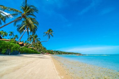 Güzel tropikal plaj deniz ve kum mavi gökyüzü ve beyaz bulut seyahat ve tatil için Hindistan cevizi hurma ağacı ile