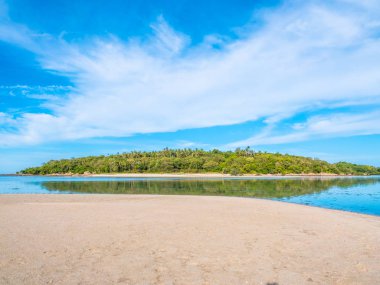 Güzel tropikal plaj ve deniz ile Hindistan cevizi hurma ağacının seyahat ve tatil
