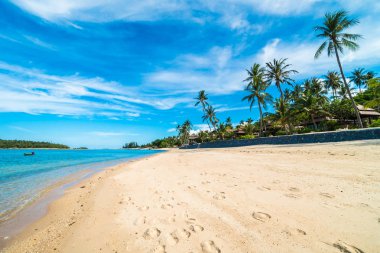 Güzel tropikal plaj deniz ve kum mavi gökyüzü ve beyaz bulut seyahat ve tatil için Hindistan cevizi hurma ağacı ile