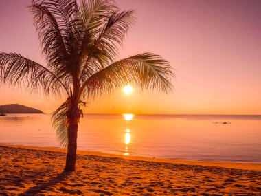 Güzel tropikal plaj deniz ve okyanus ile Hindistan cevizi hurma ağacı gündoğumu zaman seyahat ve tatil için