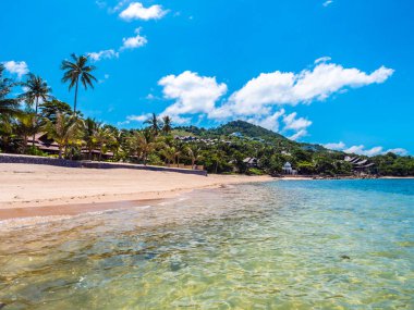 Güzel tropikal plaj ve deniz ile Hindistan cevizi hurma ağacının seyahat ve tatil