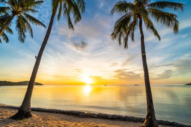 Günbatımı zaman tropik cennet ada plaj ve deniz ile Hindistan cevizi palmiye ağacı üzerinde tatil ve tatil için