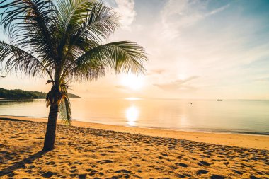 Günbatımı zaman tropik cennet ada plaj ve deniz ile Hindistan cevizi palmiye ağacı üzerinde tatil ve tatil için