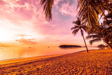 Günbatımı zaman tropik cennet ada plaj ve deniz ile Hindistan cevizi palmiye ağacı üzerinde tatil ve tatil için