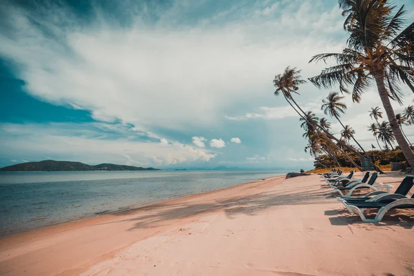 Güzel tropikal plaj ve Hindistan cevizi hurma ağacı Cennet Adası