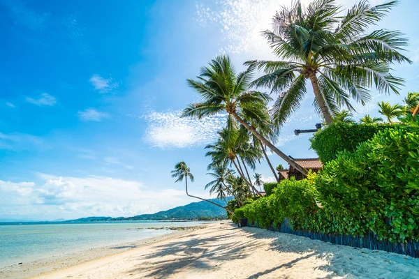 美丽的热带海滩海和沙子与椰子棕榈树在蓝天白云为旅行和假期 — 图库照片