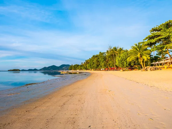 Beautiful Tropical Beach Sea Coconut Palm Tree Travel Vacation — Stock Photo, Image