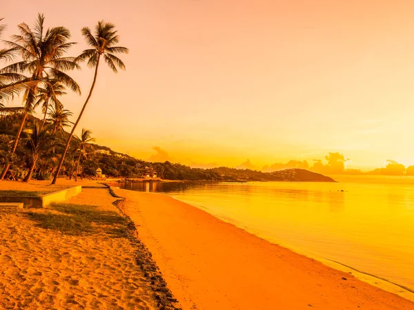 Schöner Tropischer Strand Meer Und Ozean Mit Kokospalmen Bei Sonnenaufgang — Stockfoto