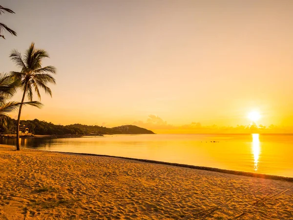 Schöner Tropischer Strand Meer Und Ozean Mit Kokospalmen Bei Sonnenaufgang — Stockfoto