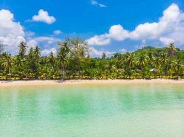 Plaj ve deniz paradise Island tatil için Hindistan cevizi hurma ağacı ile güzel havadan görünümü