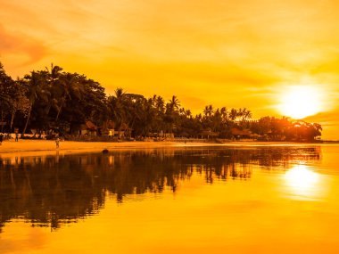 Güzel tropikal plaj deniz ve okyanus ile Hindistan cevizi hurma ağacı gündoğumu zaman seyahat ve tatil için