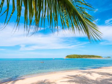 Güzel tropikal plaj ve deniz ile Hindistan cevizi hurma ağacının seyahat ve tatil
