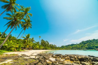 Güzel tropikal plaj ve deniz paradise Island Seyahat ve tatil için Hindistan cevizi hurma ağacı