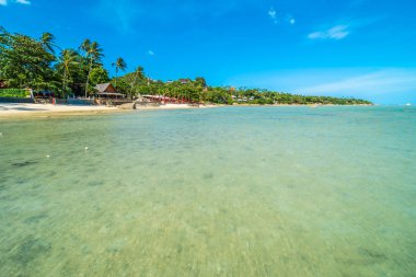Güzel tropikal plaj deniz ve kum mavi gökyüzü ve beyaz bulut seyahat ve tatil için Hindistan cevizi hurma ağacı ile