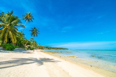 Güzel tropikal plaj deniz ve kum mavi gökyüzü ve beyaz bulut seyahat ve tatil için Hindistan cevizi hurma ağacı ile