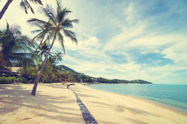Güzel tropikal plaj deniz ve kum mavi gökyüzü ve beyaz bulut seyahat ve tatil için Hindistan cevizi hurma ağacı ile