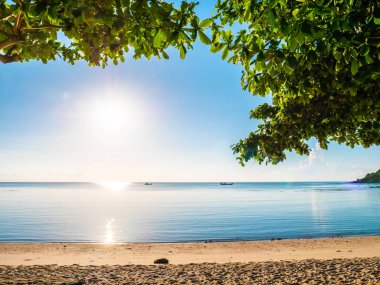 Tropikal plaj deniz ve okyanus seyahat ve tatil için boş sandalye