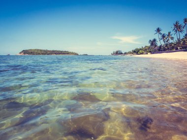 Güzel tropikal plaj ve deniz ile Hindistan cevizi hurma ağacının seyahat ve tatil