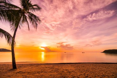 Günbatımı zaman tropik cennet ada plaj ve deniz ile Hindistan cevizi palmiye ağacı üzerinde tatil ve tatil için